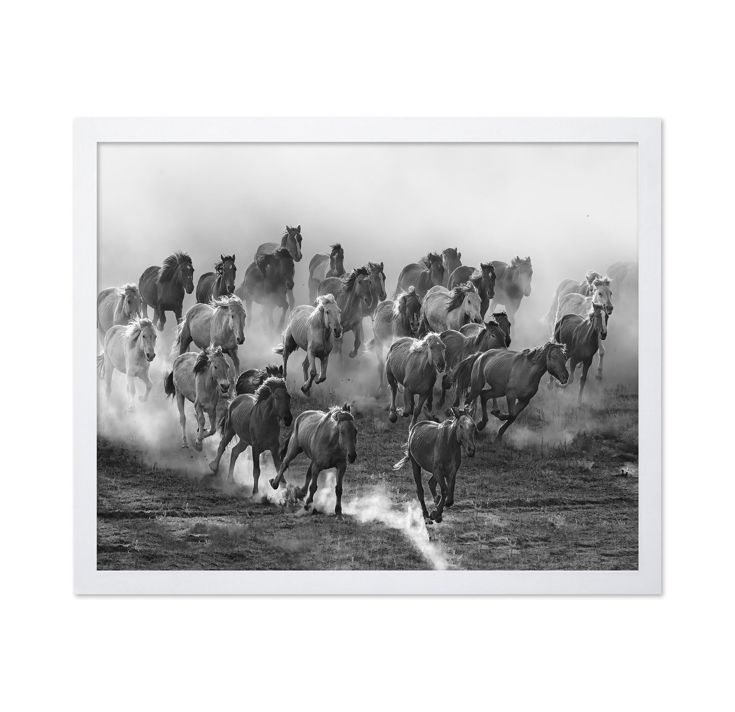Galloping