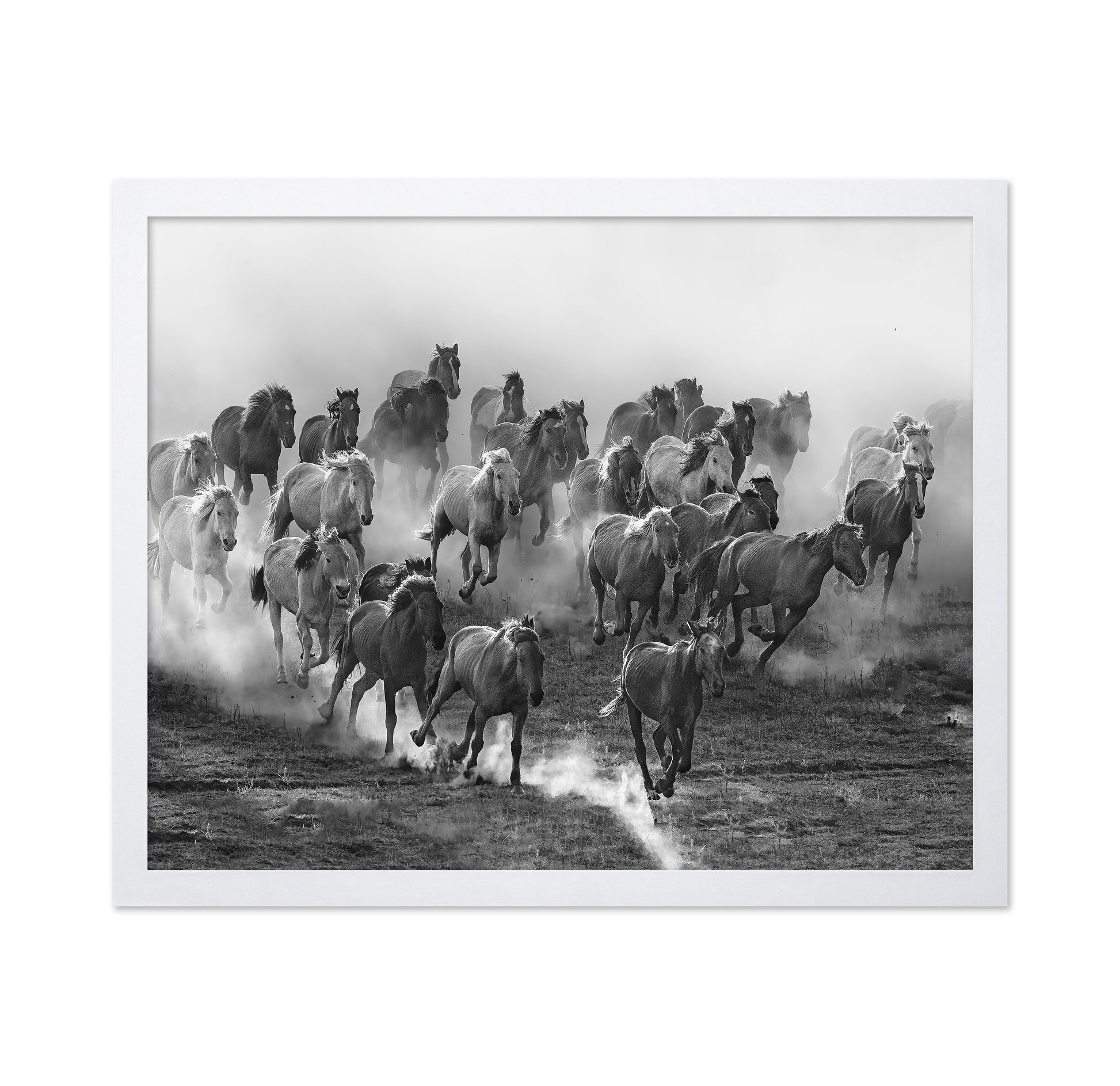 Galloping