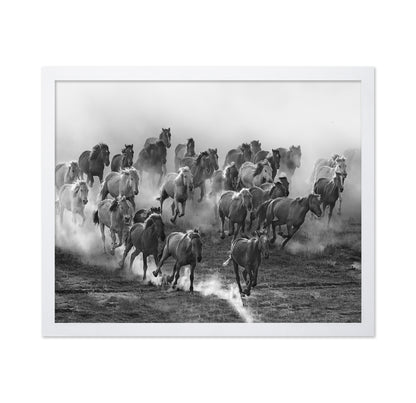 Galloping