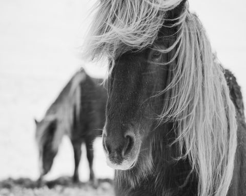 In The Wind