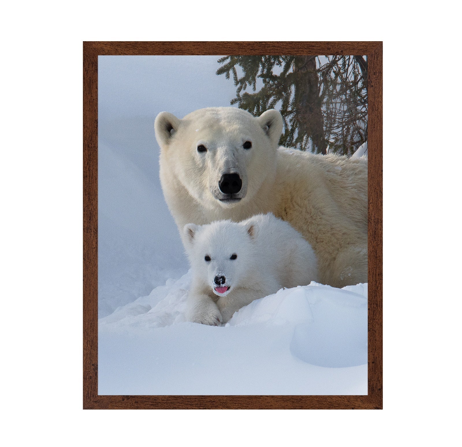 Snow Buddies