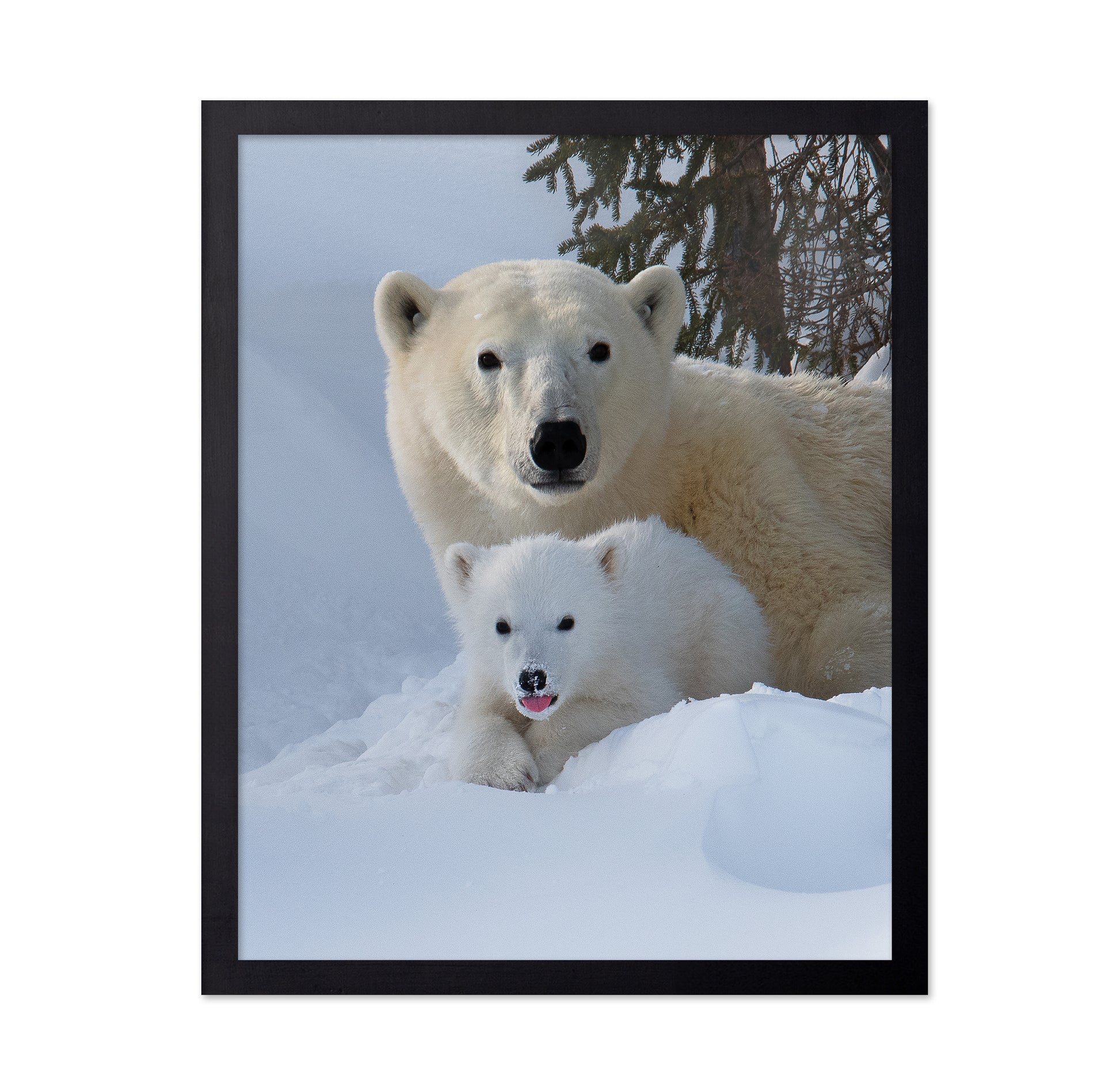 Snow Buddies