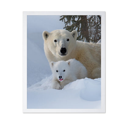 Snow Buddies