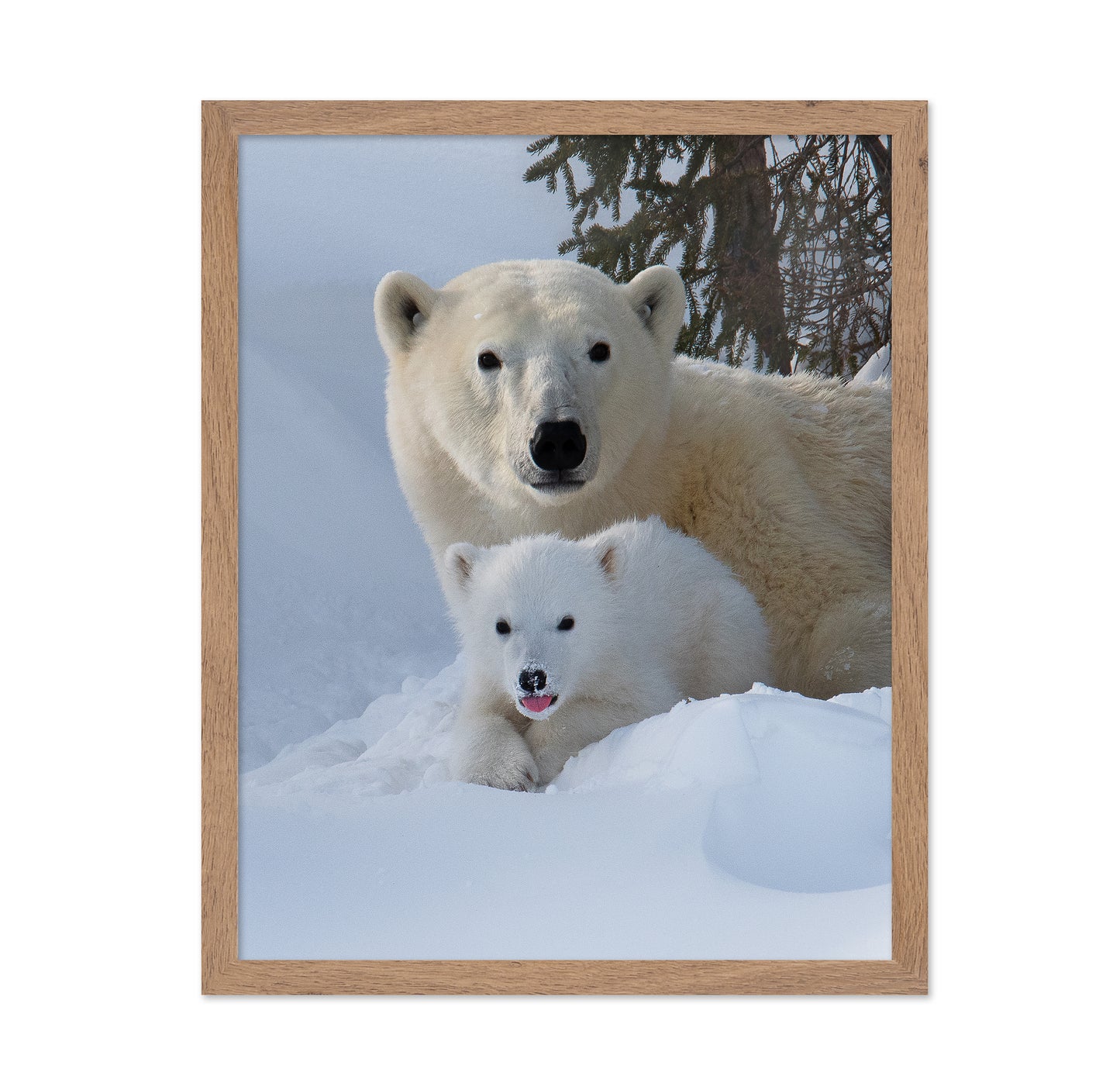 Snow Buddies
