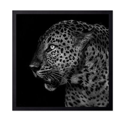 African Leopard Portrait
