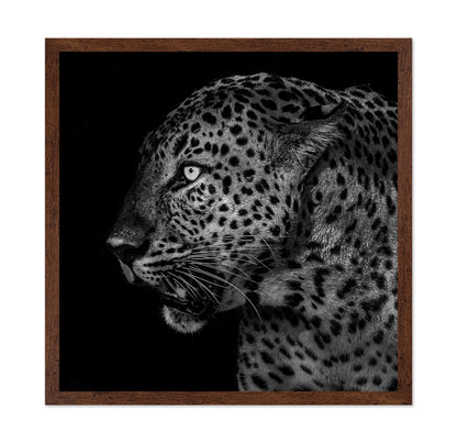 African Leopard Portrait