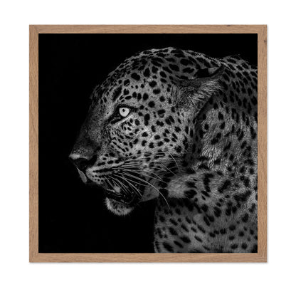 African Leopard Portrait