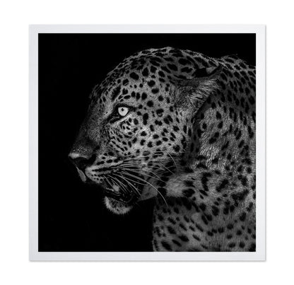 African Leopard Portrait
