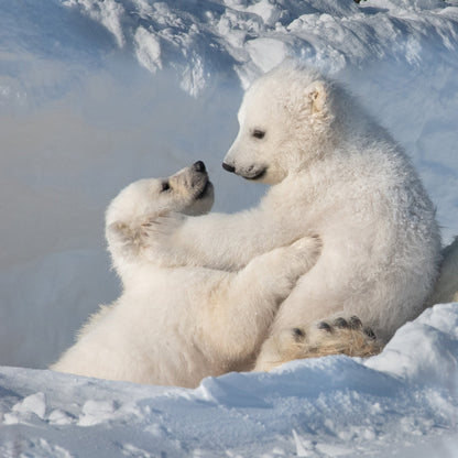 Mother's Care