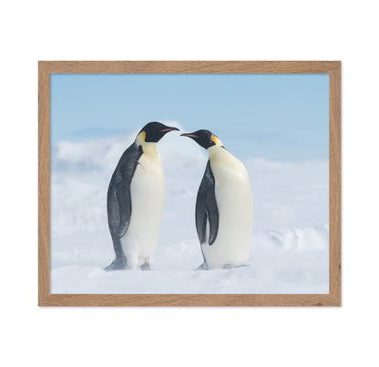 Penguin Love