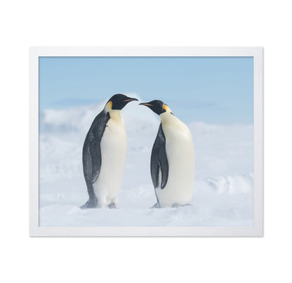 Penguin Love
