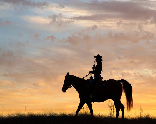Cowgirl Fun With Silhouette