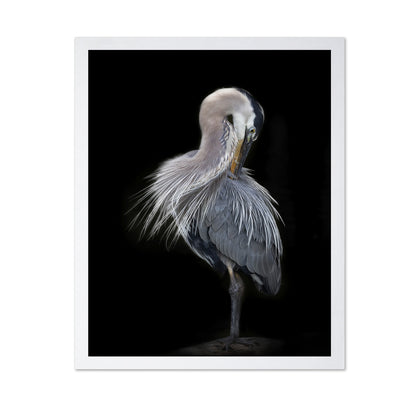 The Elegant Great Blue Heron