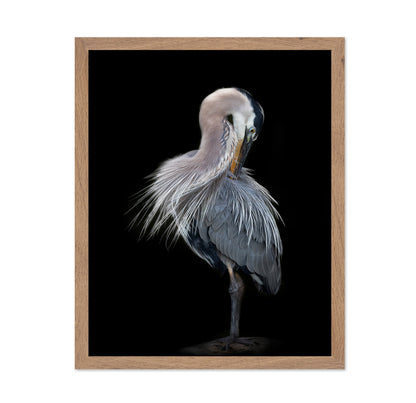 The Elegant Great Blue Heron