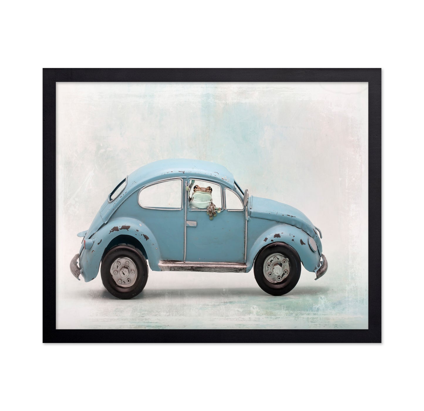 Amazon Milk Frog in VW Bug
