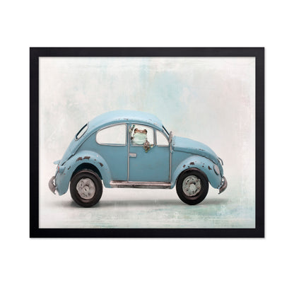 Amazon Milk Frog in VW Bug