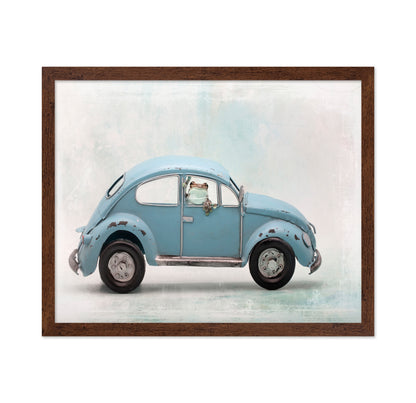 Amazon Milk Frog in VW Bug