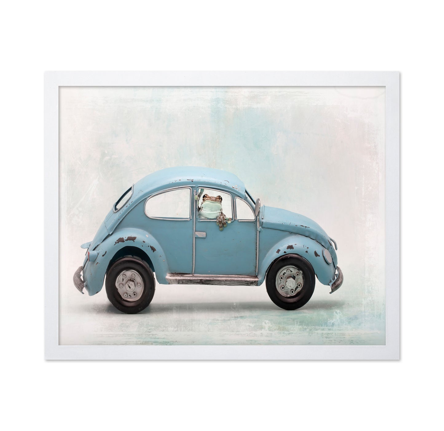 Amazon Milk Frog in VW Bug