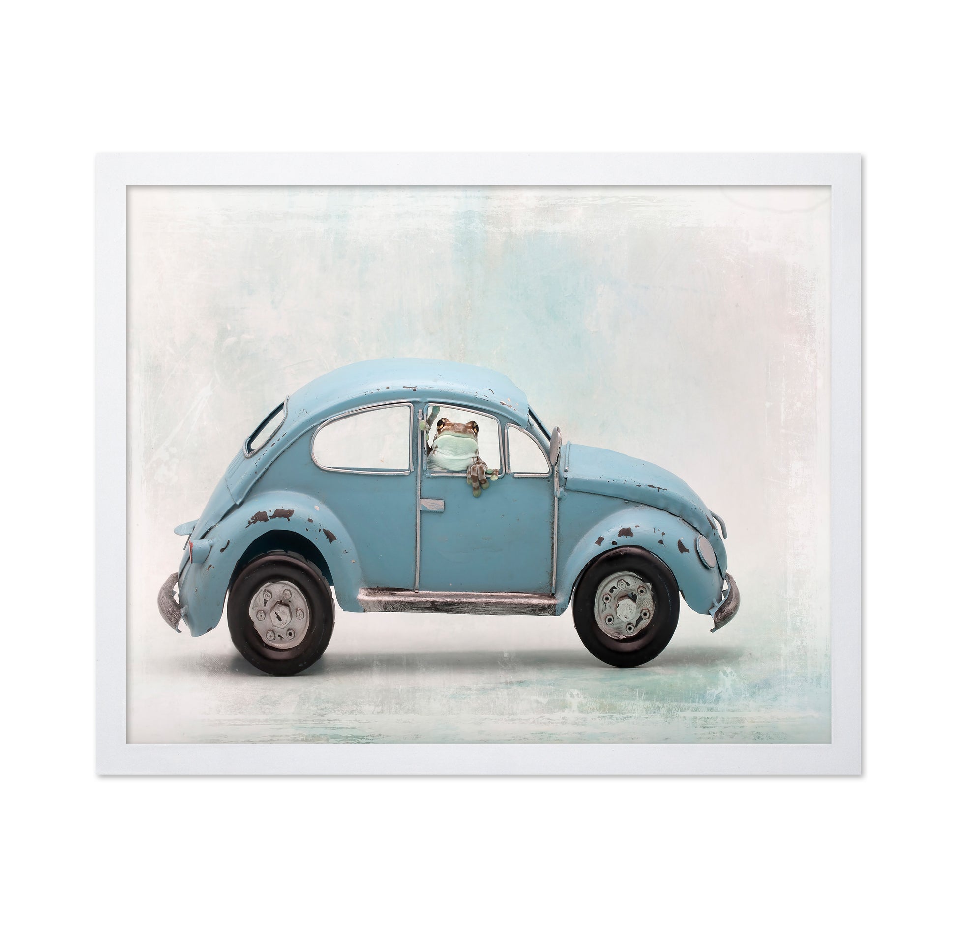 Amazon Milk Frog in VW Bug