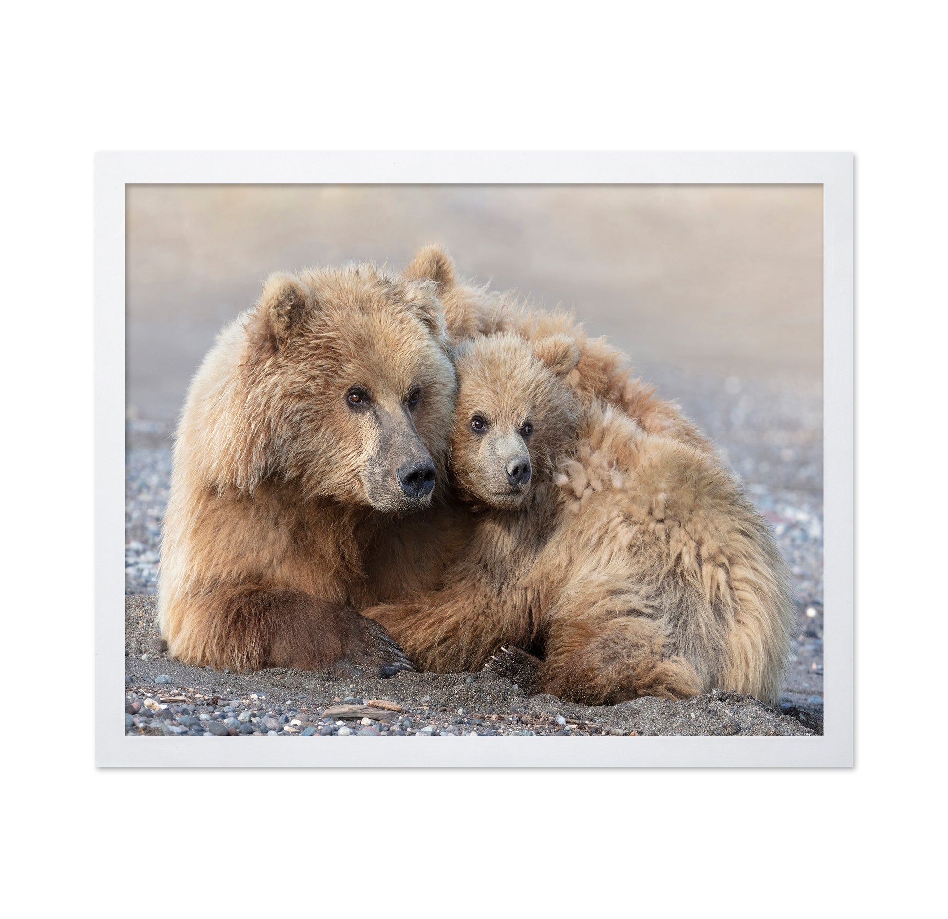 Momma Bear and Cub Aware