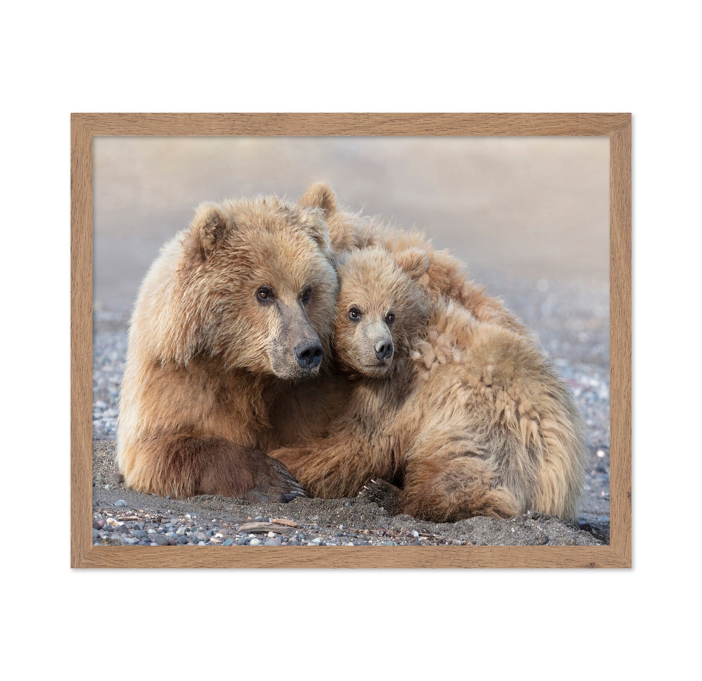 Momma Bear and Cub Aware