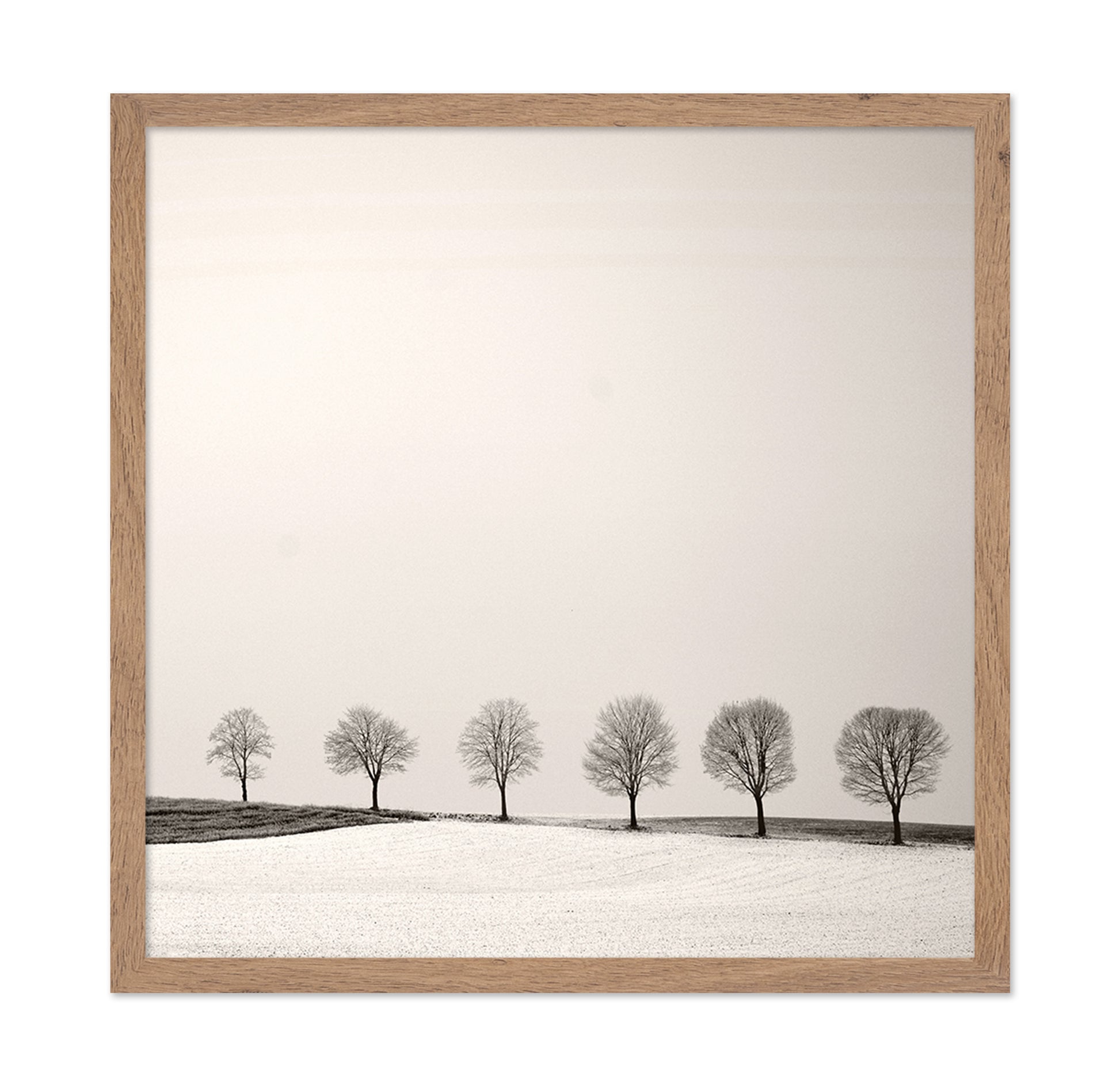 Tree Line