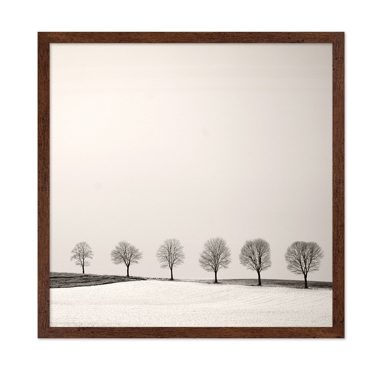 Tree Line