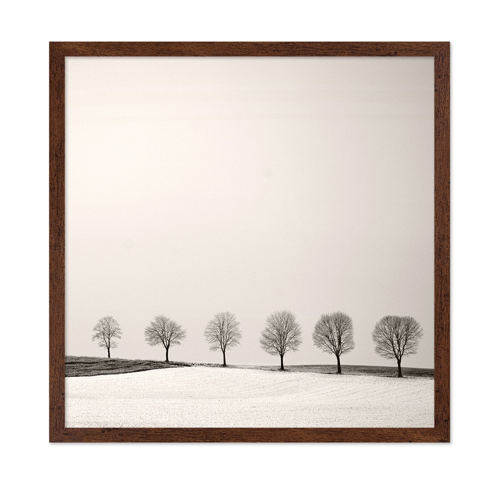 Tree Line
