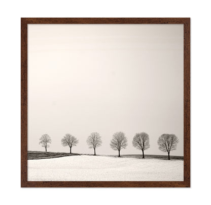 Tree Line
