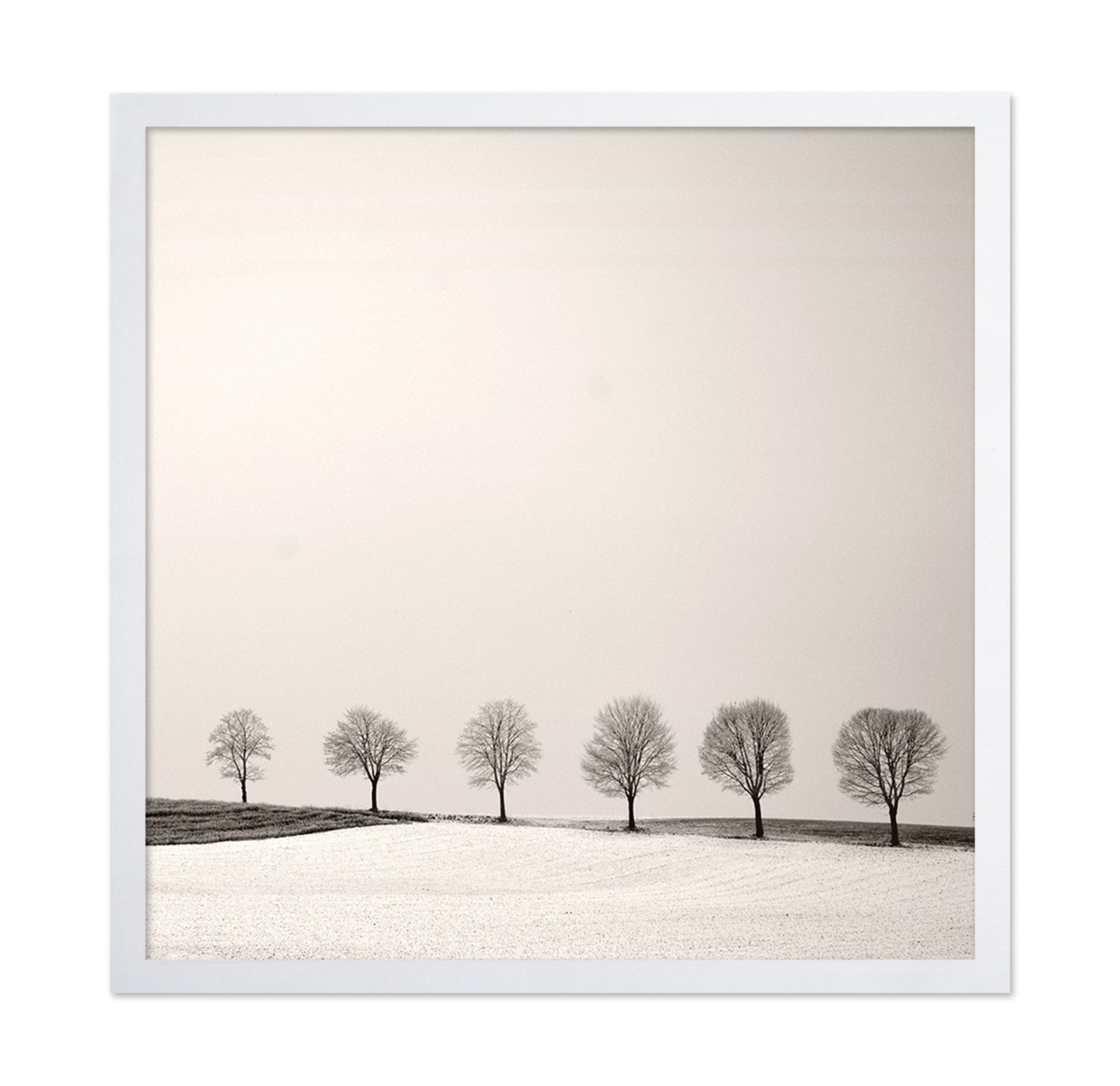 Tree Line