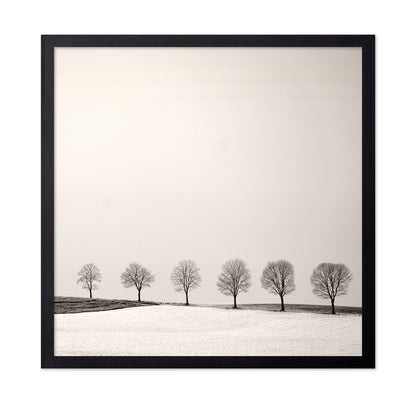 Tree Line