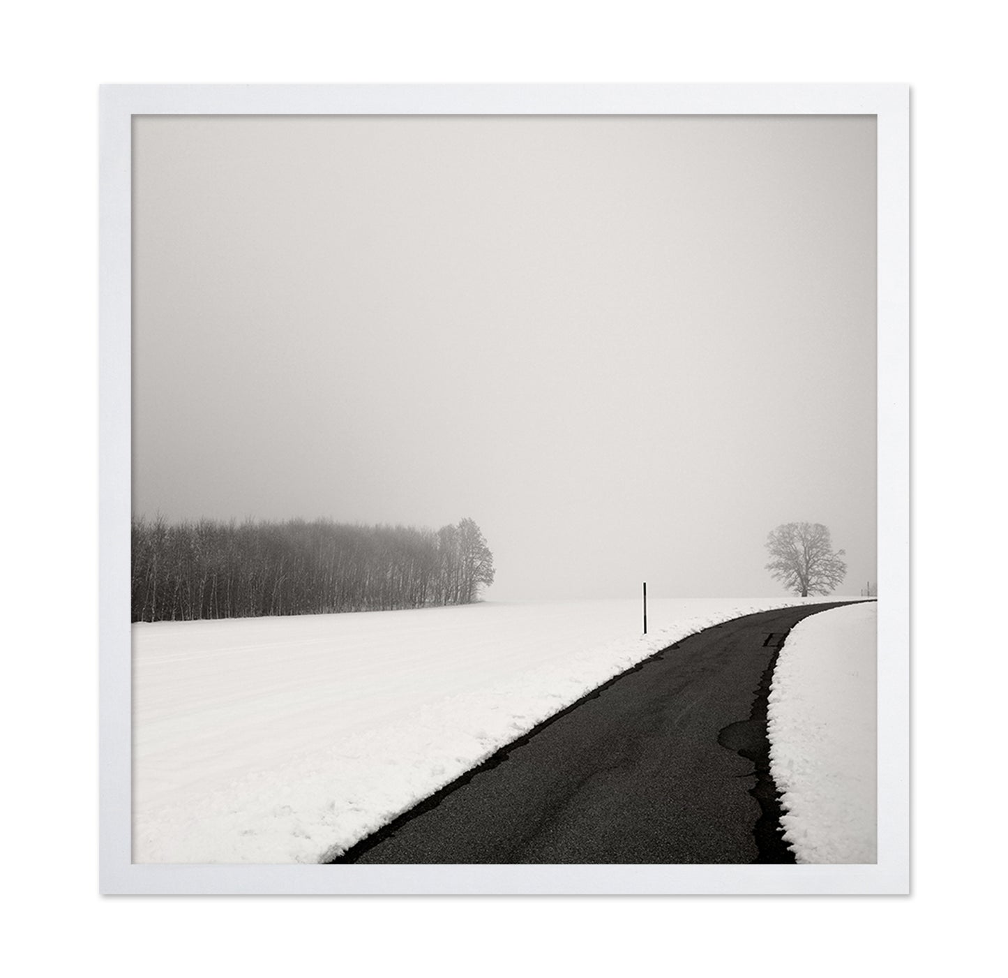 Curve In Snow