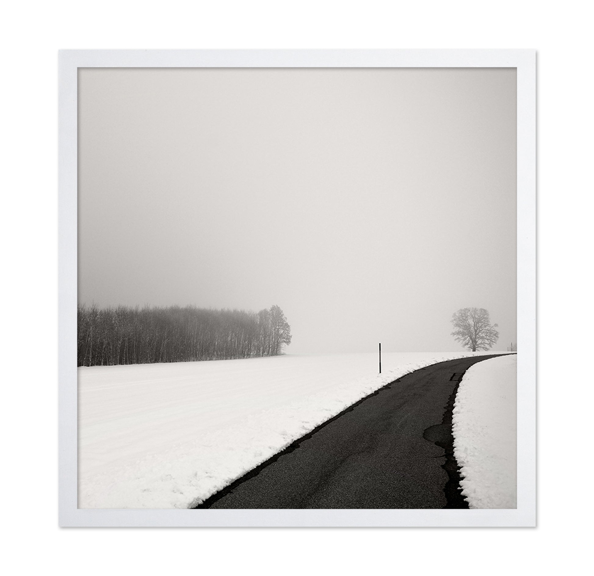 Curve In Snow