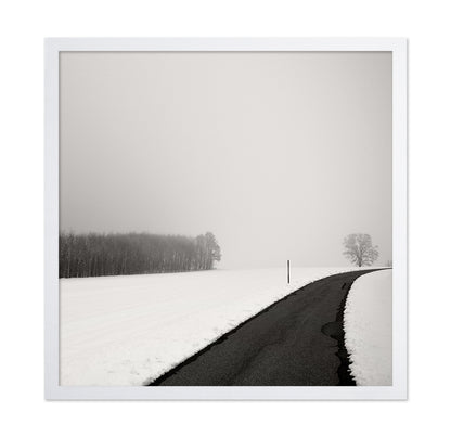 Curve In Snow