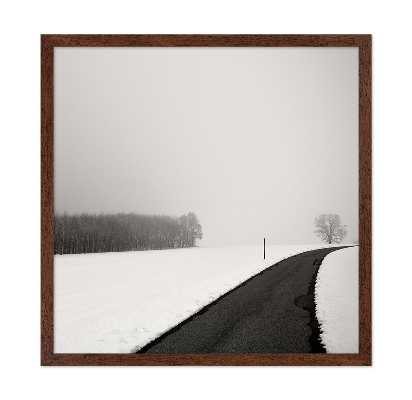 Curve In Snow
