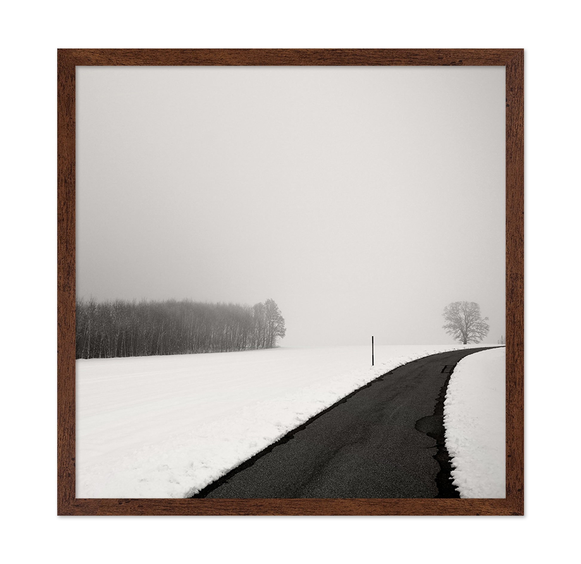 Curve In Snow