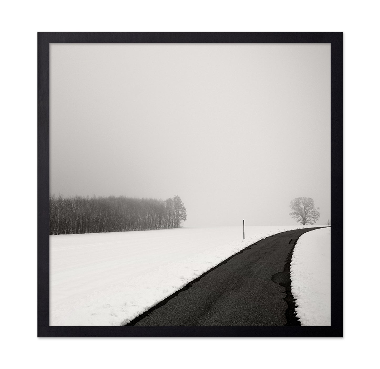 Curve In Snow