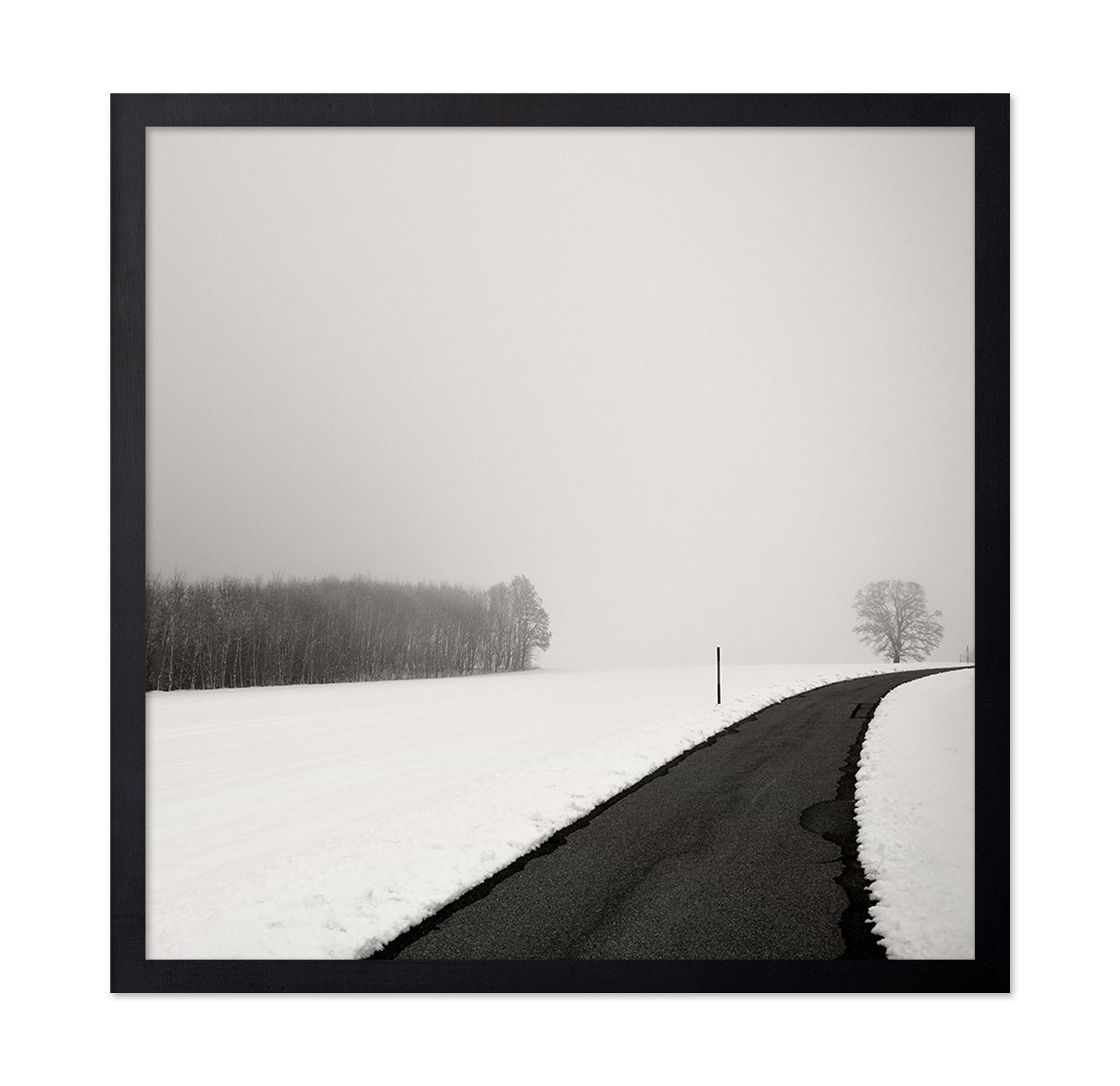 Curve In Snow