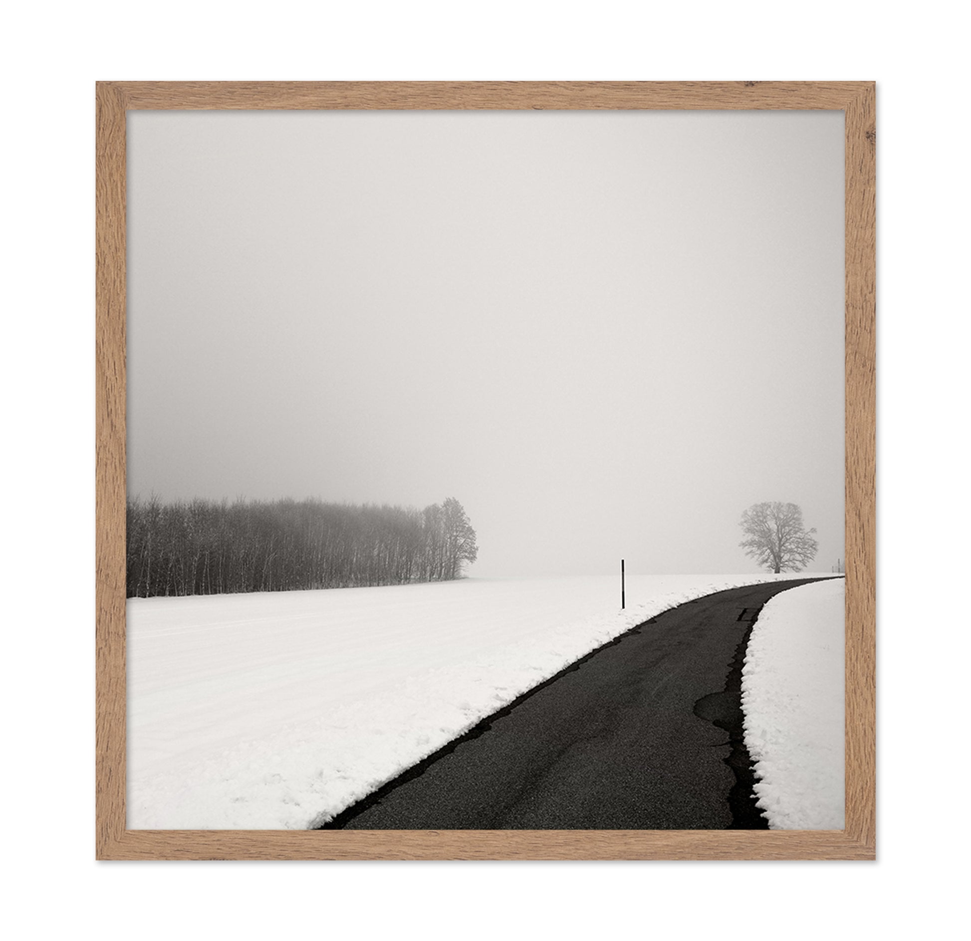 Curve In Snow