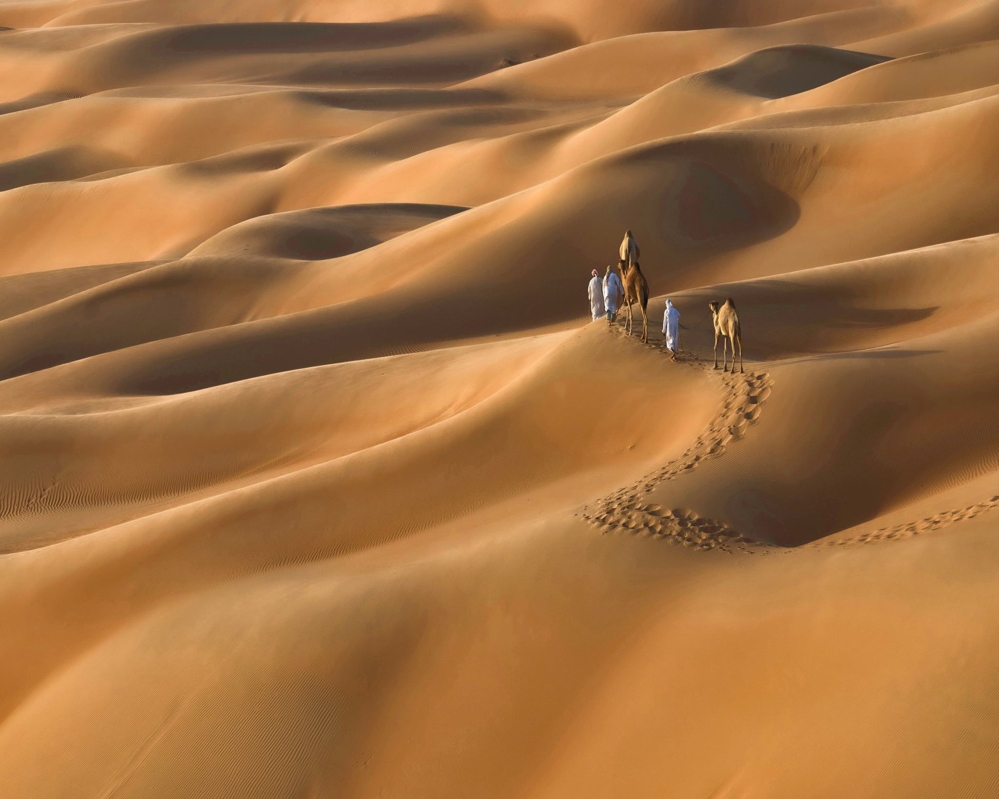 Sahara Caravan