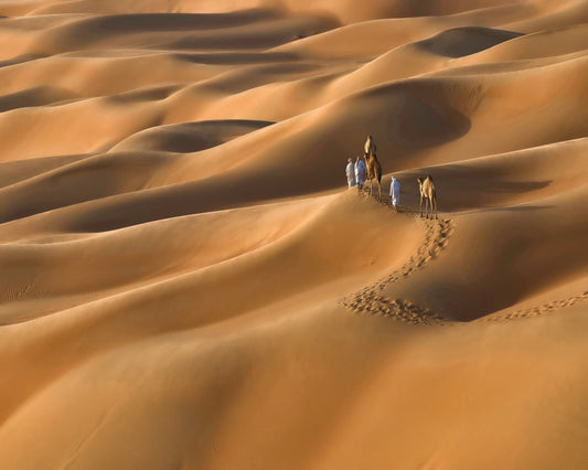 Sahara Caravan