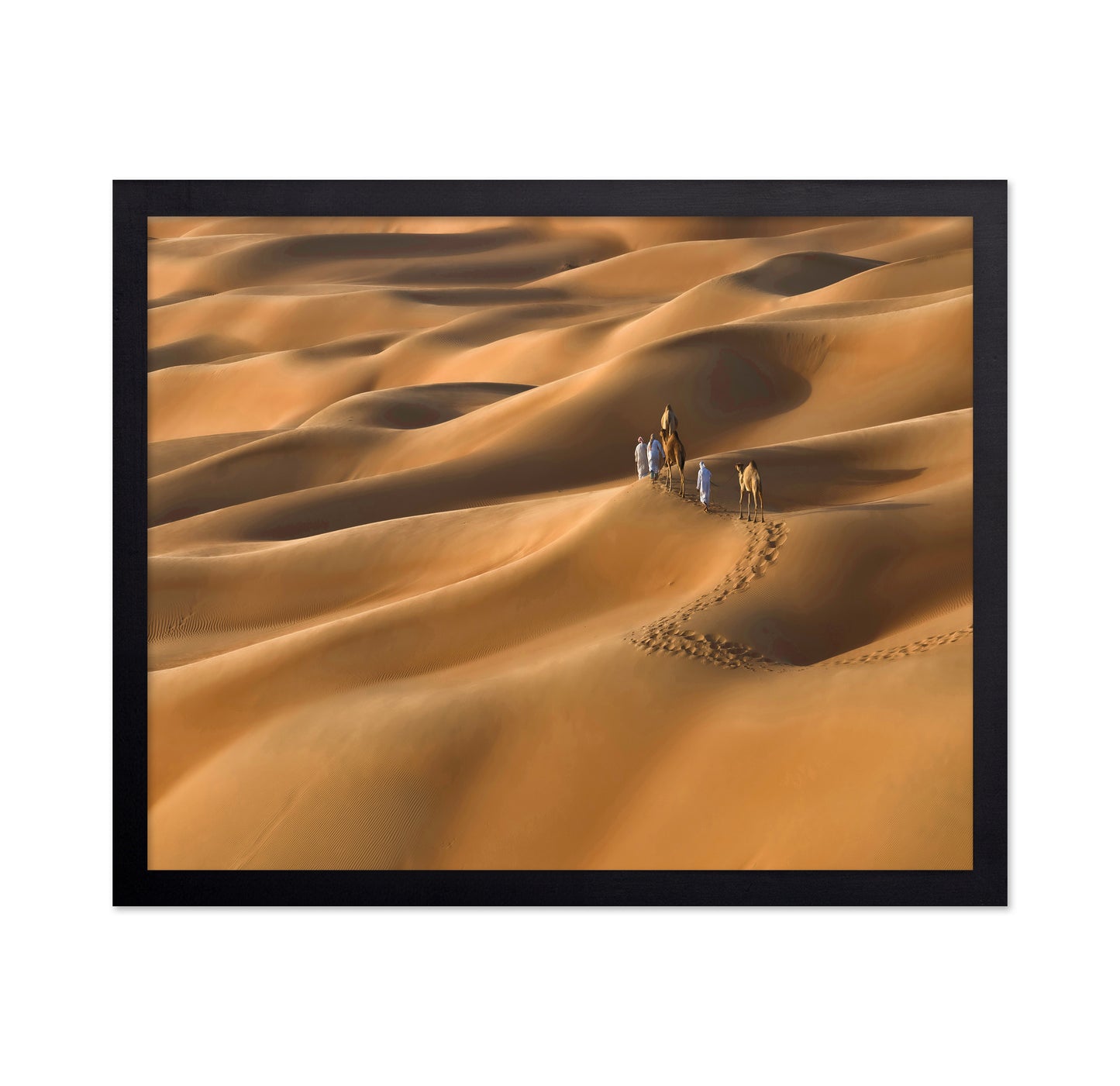 Sahara Caravan