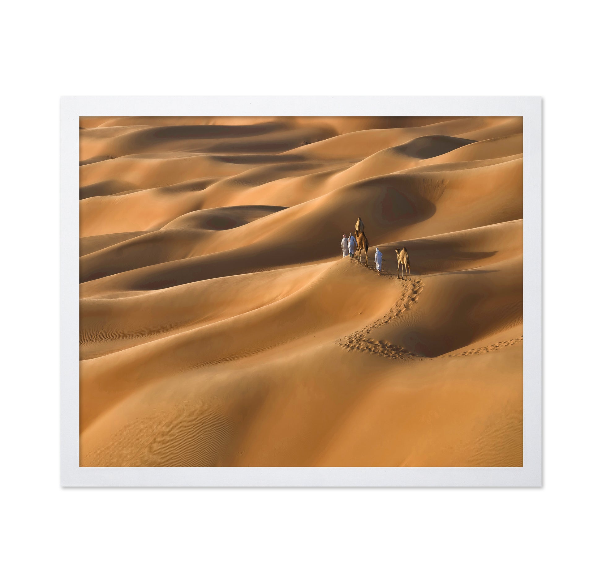 Sahara Caravan