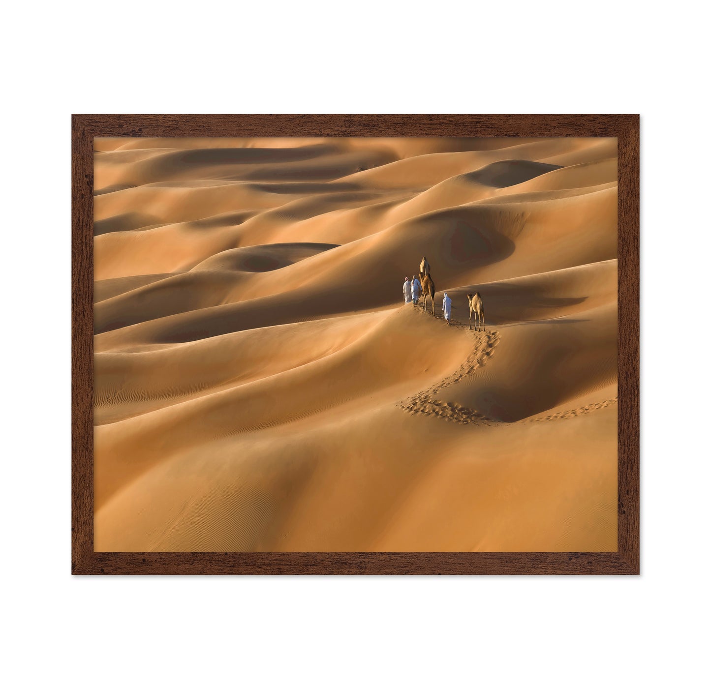 Sahara Caravan