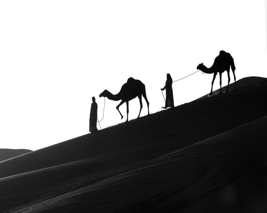 Camel Caravan Silhouette