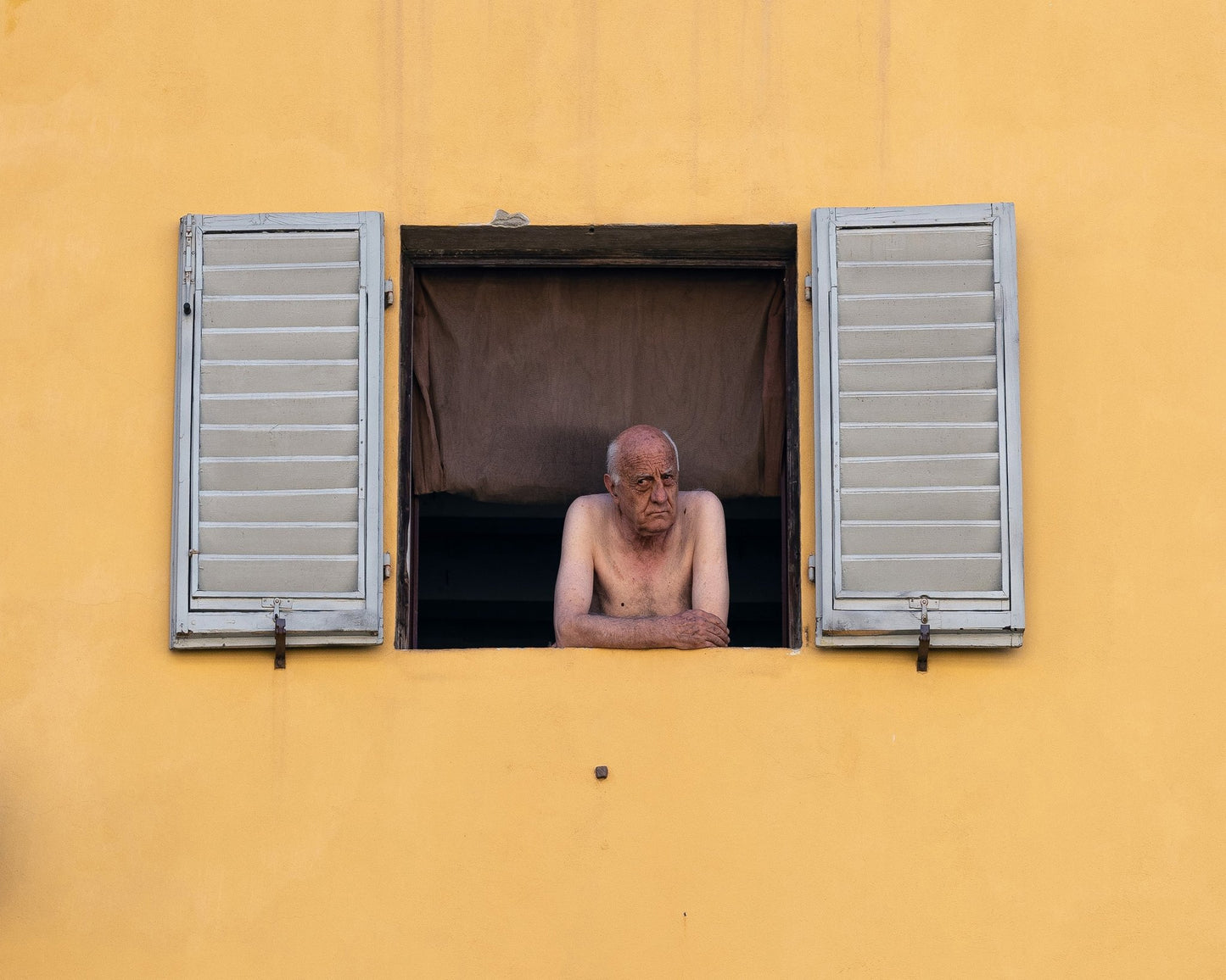 Life at the Window