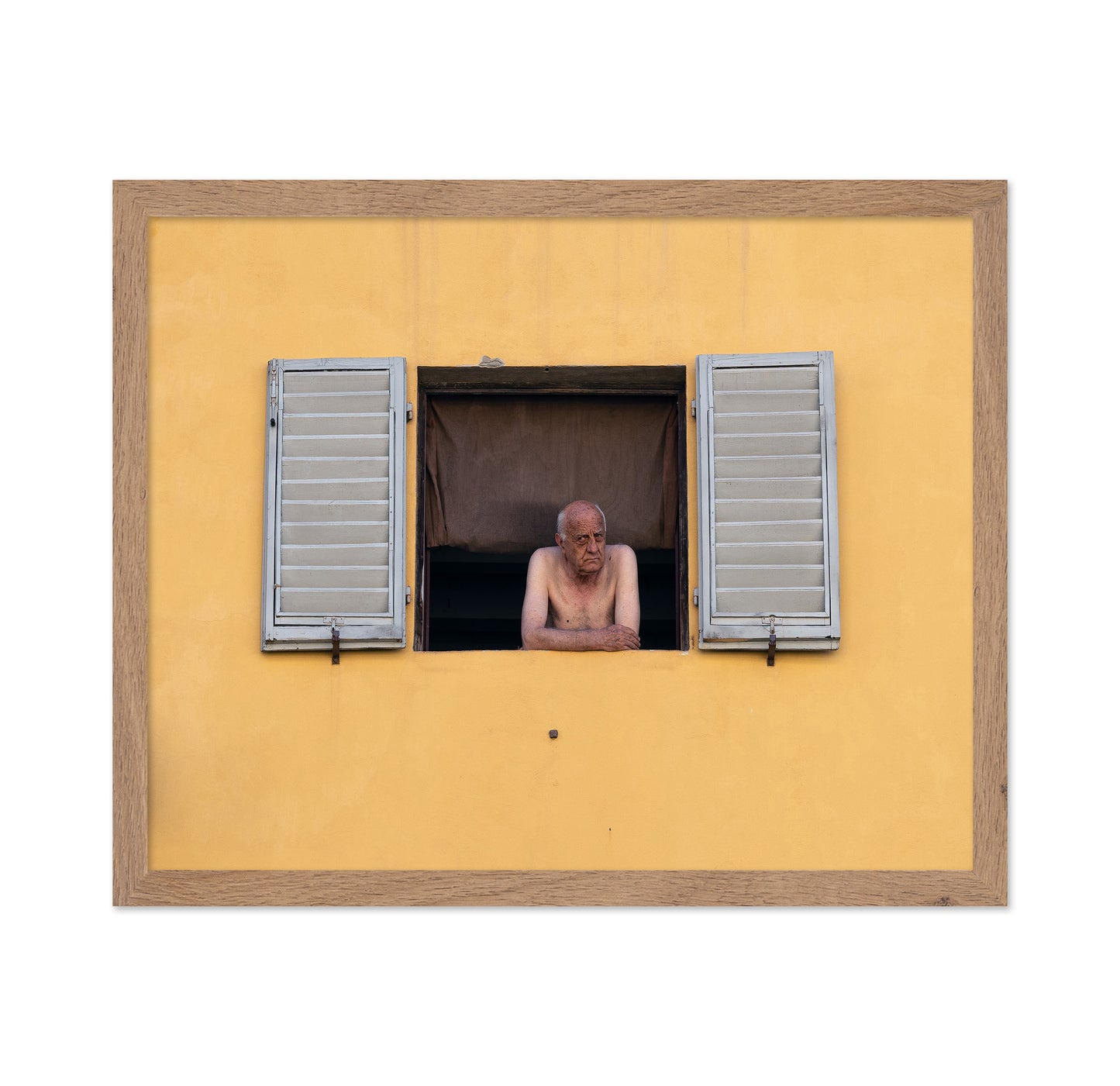 Life at the Window