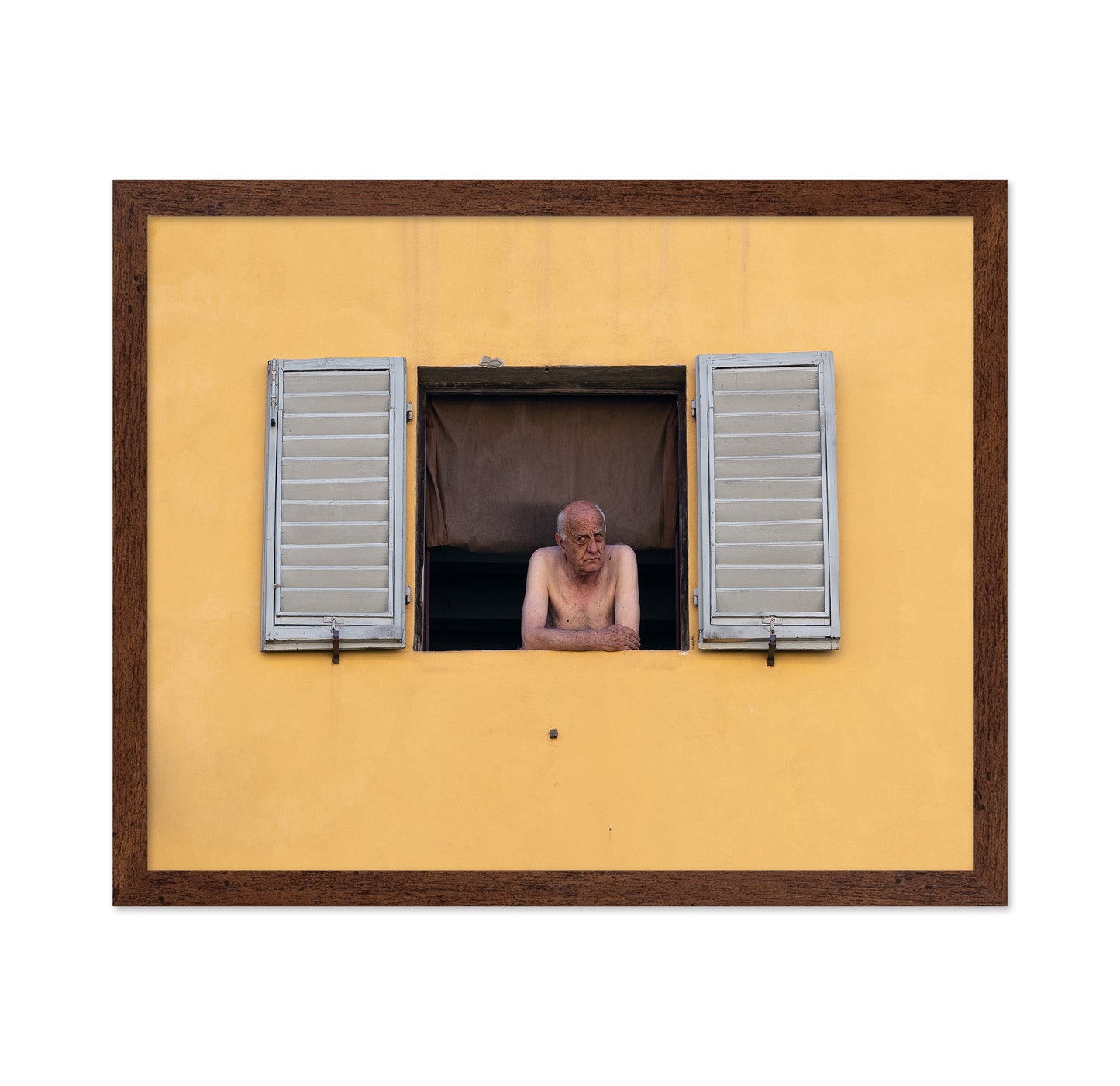 Life at the Window