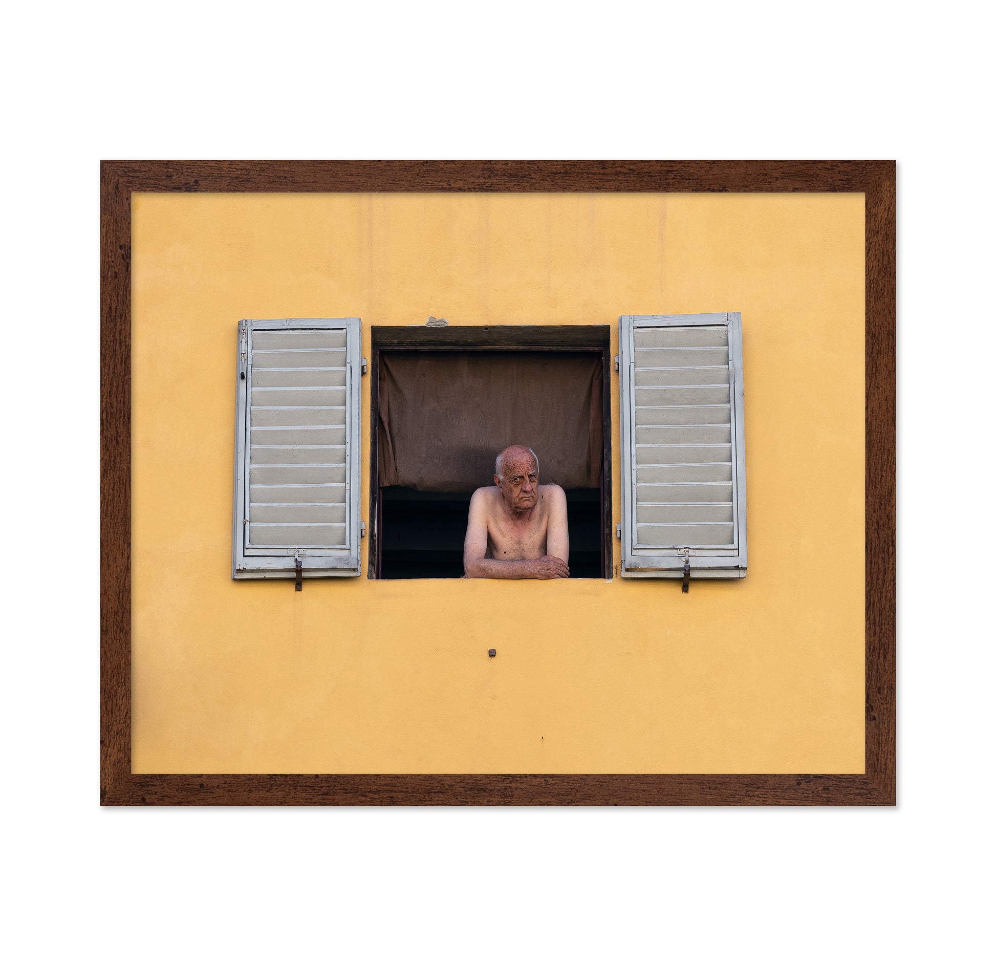 Life at the Window