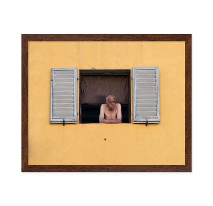 Life at the Window